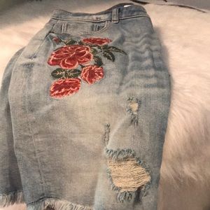 Zara Embroiled Skirt